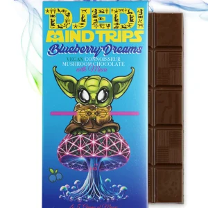 Blueberry Dreams Vegan Mushroom Chocolate Bar