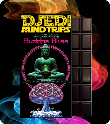 Buddha Bliss Chocolate Bar - Vegan and Organic Treat