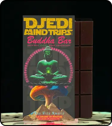 Buddha Bliss Chocolate Bar - Vegan and Organic Treat